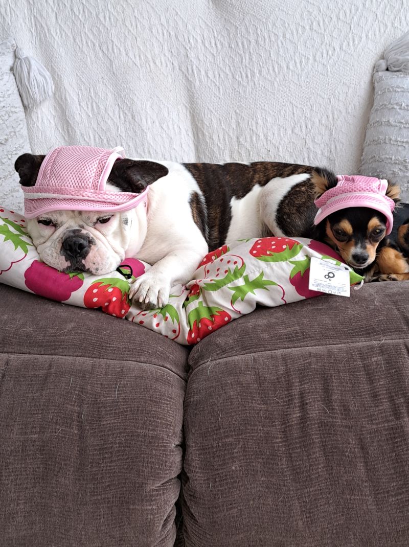 Bailey59Annmarie
