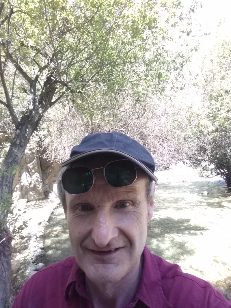 Camelhurst