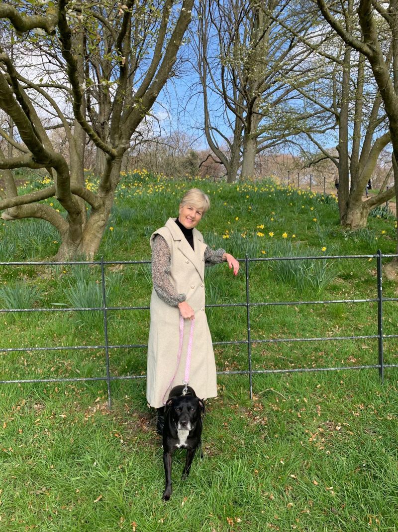 Sunshinechaser2025 Sunshinechaser2025