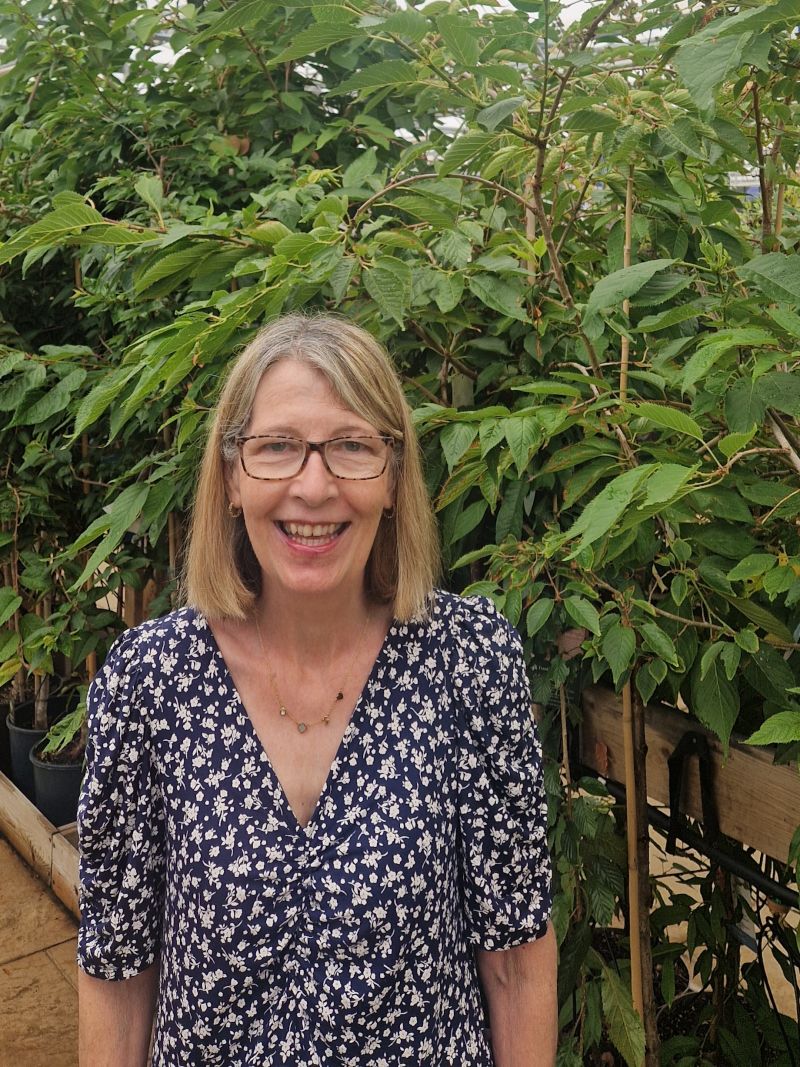 Cherryblossom058 Cherryblossom058